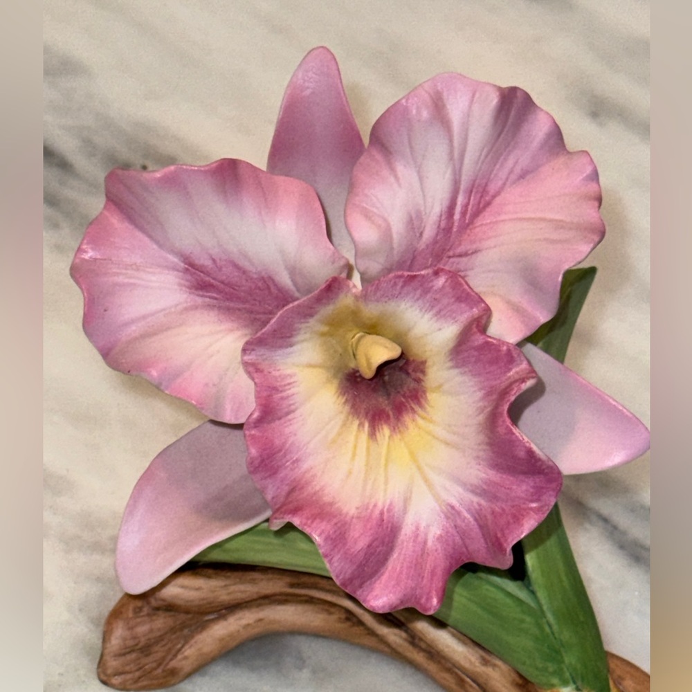 Porcelain Cattleya Orchid by Andrea Made in Japan 1985 7252 Floral Accent - Picture 6 of 8